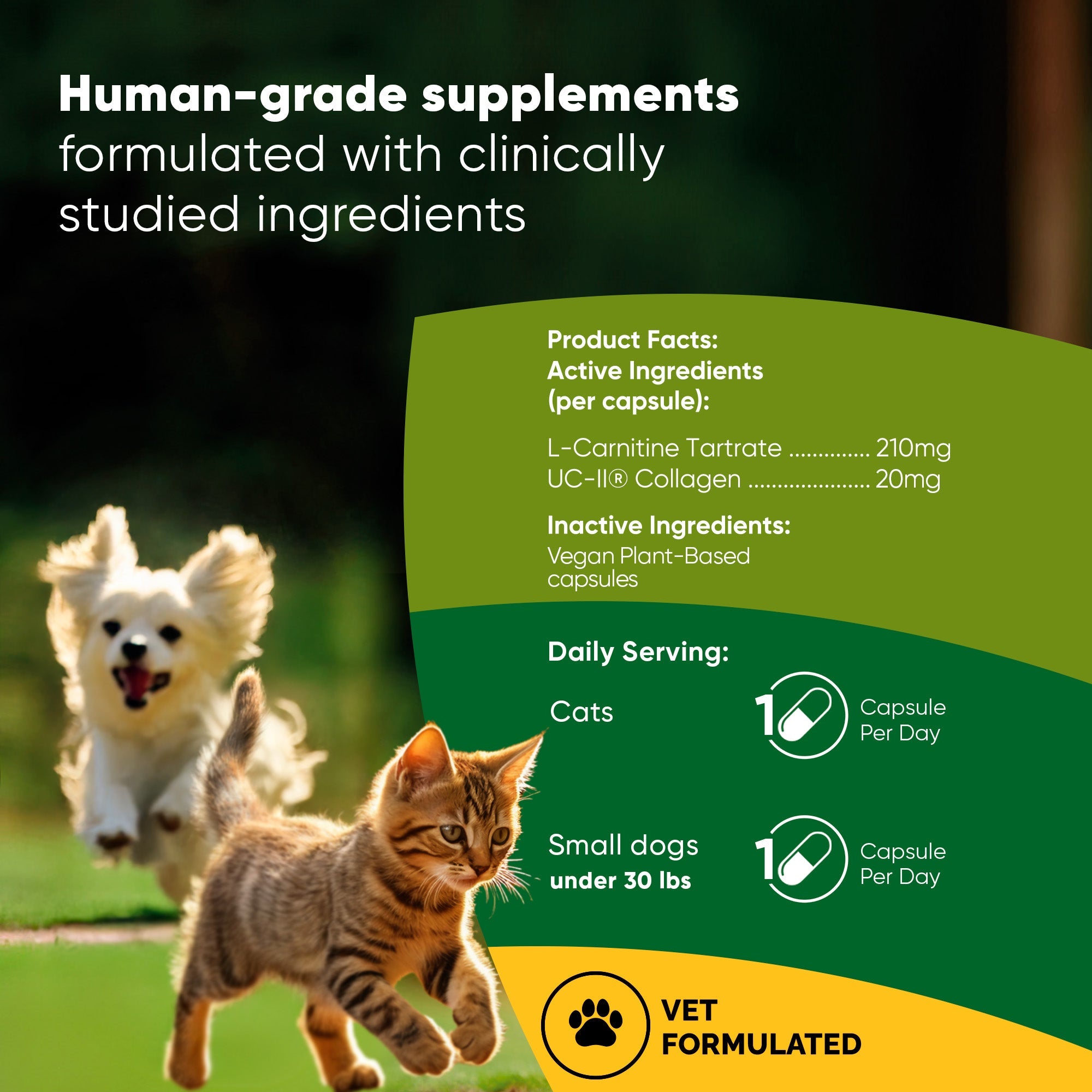 Joint & Muscle Health (Cats & Small Dogs)