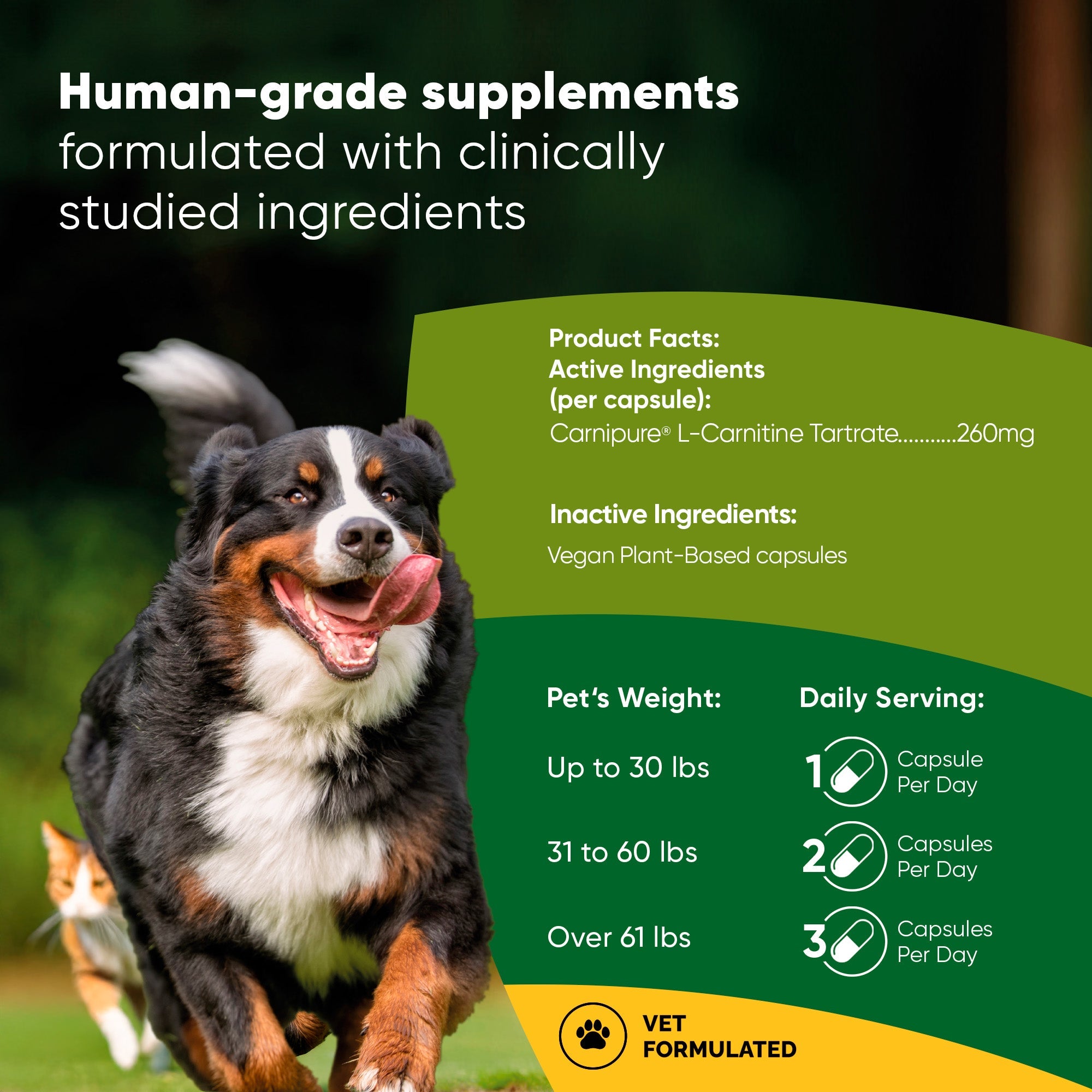 Weight Management