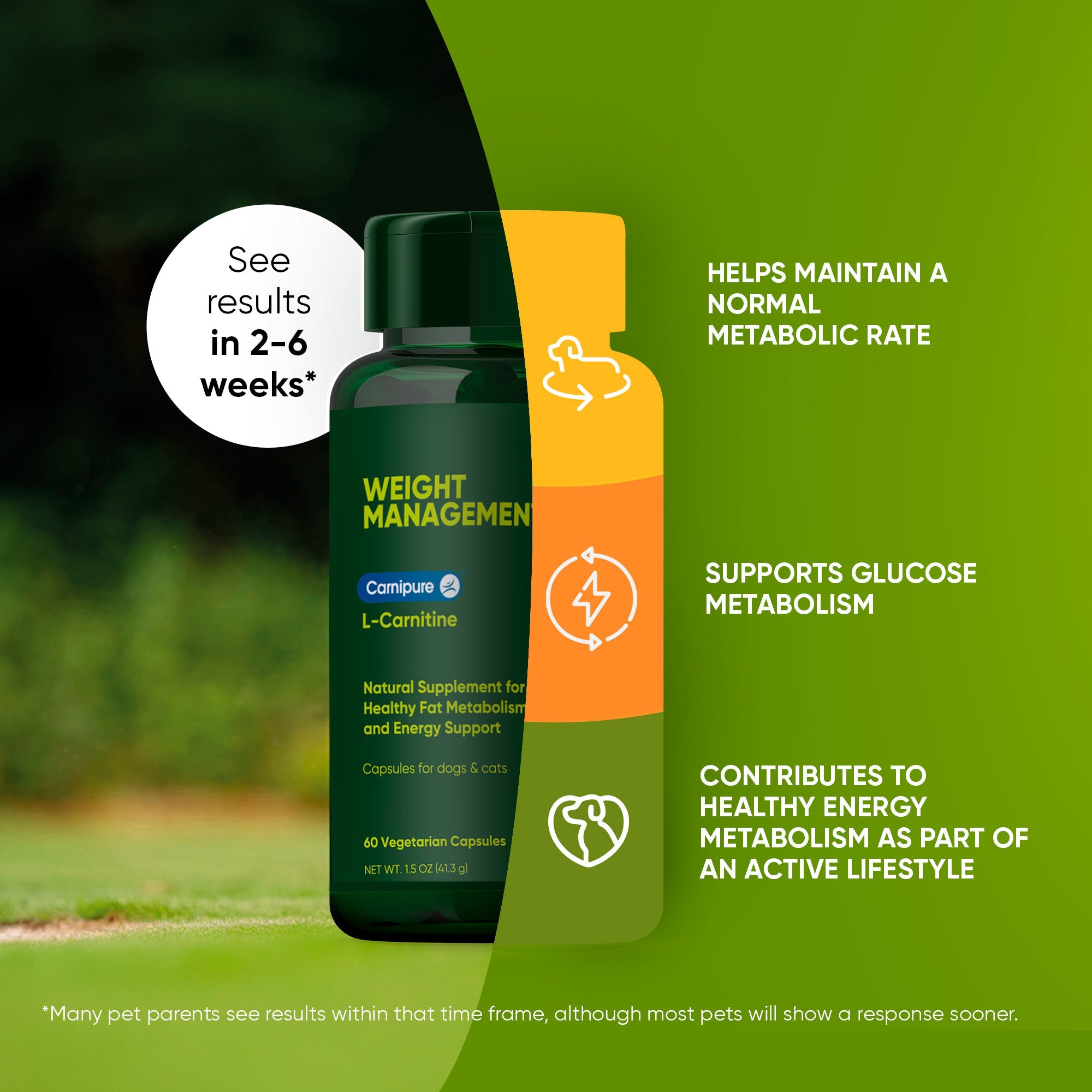 Weight Management
