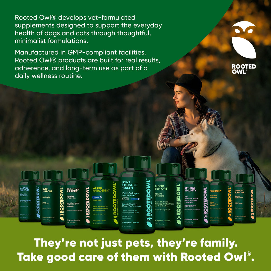 Joint & Muscle Health (Cats & Small Dogs)