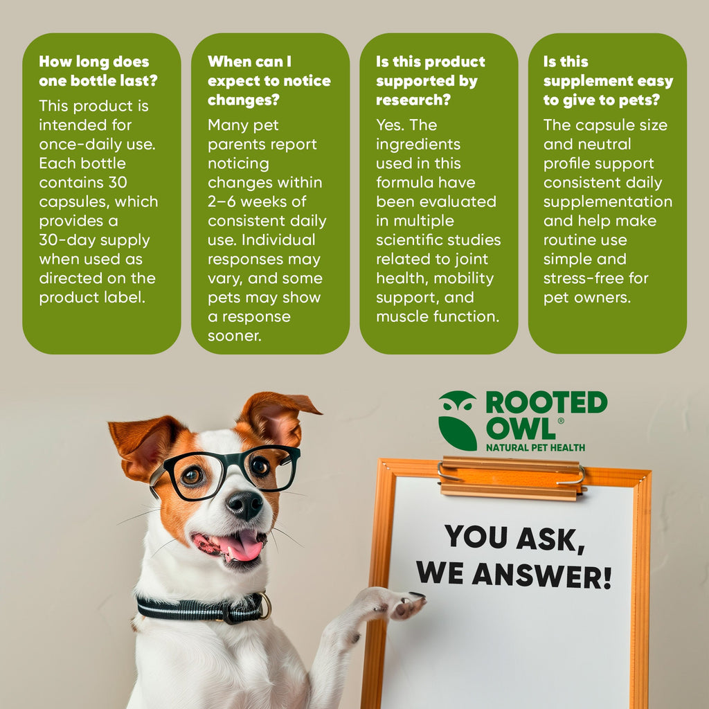 Joint & Muscle Health (Cats & Small Dogs)