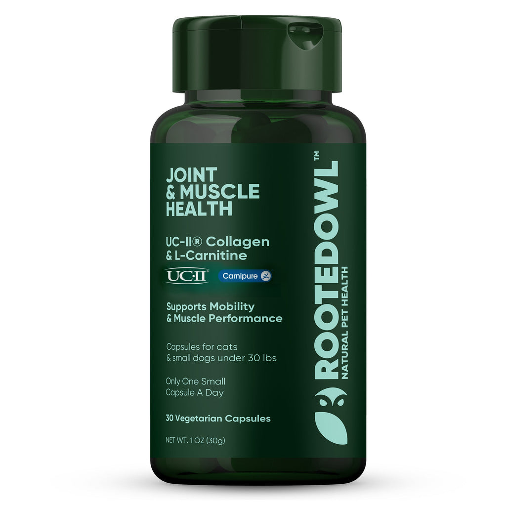 Joint & Muscle Health (Cats & Small Dogs)