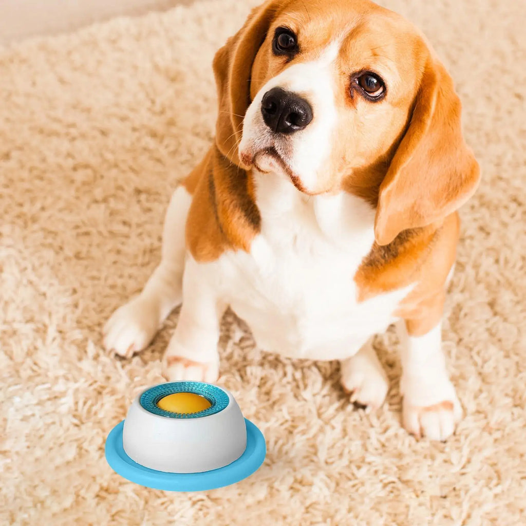 Slow Feeder Dog Bowl – Prevents Bloating & Promotes Healthy Eating