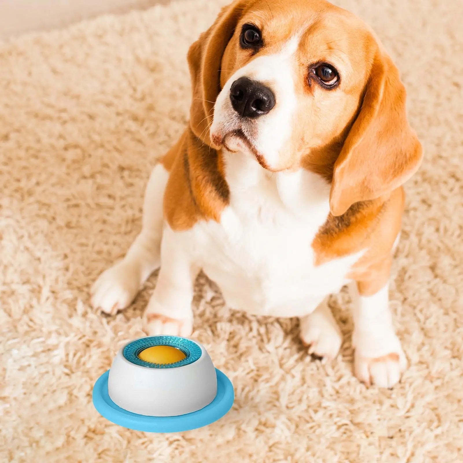 Slow Feeder Dog Bowl – Prevents Bloating & Promotes Healthy Eating