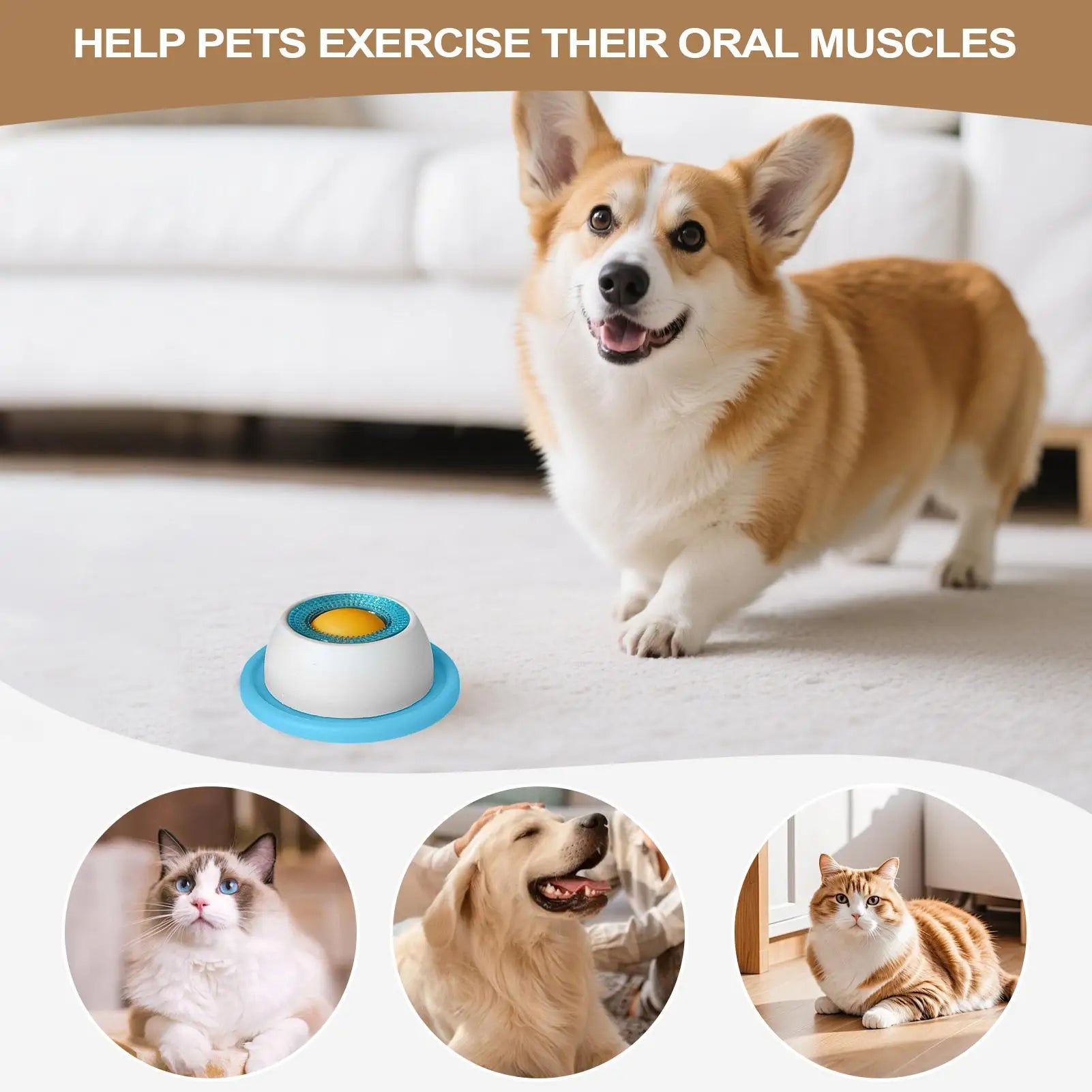 Slow Feeder Dog Bowl – Prevents Bloating & Promotes Healthy Eating